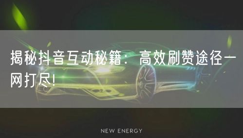 揭秘抖音互动秘籍：高效刷赞途径一网打尽!