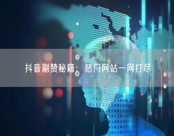 抖音刷赞秘籍：热门网站一网打尽