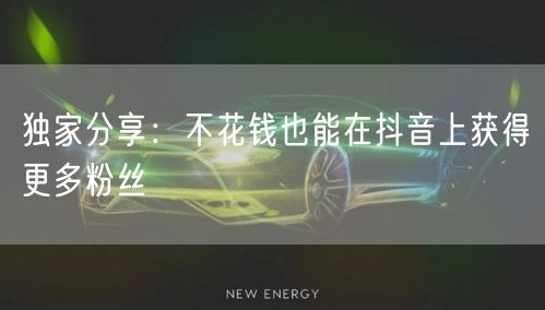 独家分享：不花钱也能在抖音上获得更多粉丝