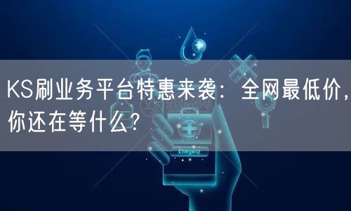 KS刷业务平台特惠来袭：全网最低价，你还在等什么？
