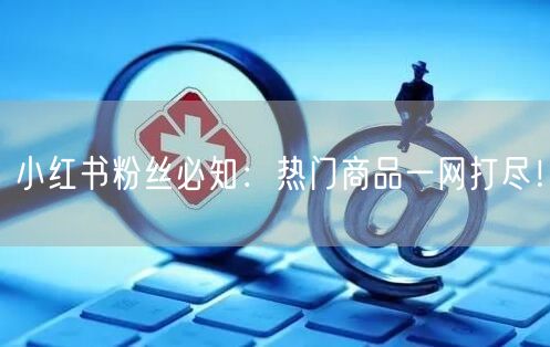 小红书粉丝必知：热门商品一网打尽！