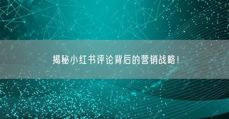 揭秘小红书评论背后的营销战略！