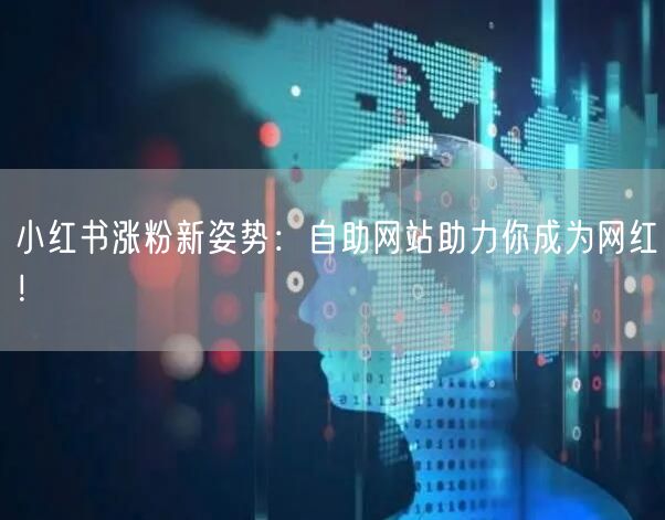 小红书涨粉新姿势：自助网站助力你成为网红