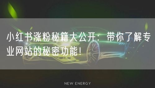 小红书涨粉秘籍大公开：带你了解专业网站的