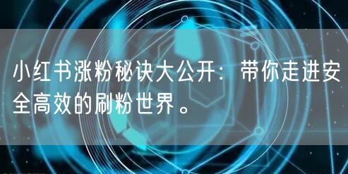 小红书涨粉秘诀大公开：带你走进安全高效的刷粉世界。