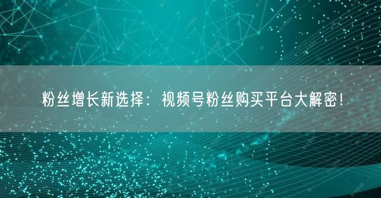 粉丝增长新选择：视频号粉丝购买平台大解密！