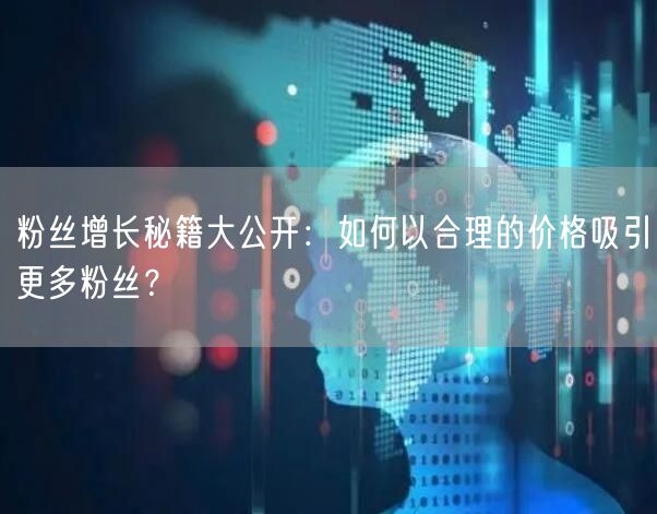 粉丝增长秘籍大公开：如何以合理的价格吸引