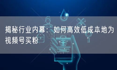 揭秘行业内幕：如何高效低成本地为视频号买