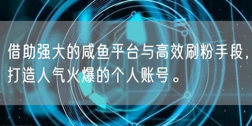 借助强大的咸鱼平台与高效刷粉手段，打造人