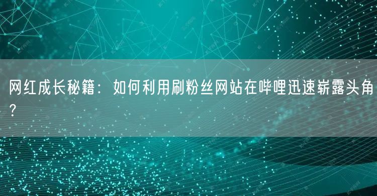 网红成长秘籍：如何利用刷粉丝网站在哔哩迅