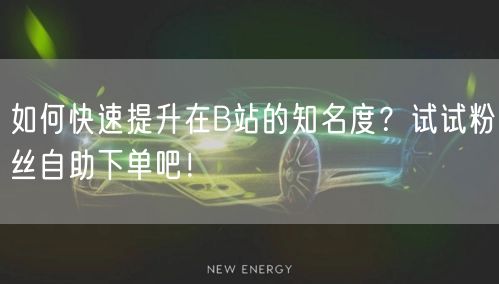 如何快速提升在B站的知名度？试试粉丝自助下单吧！