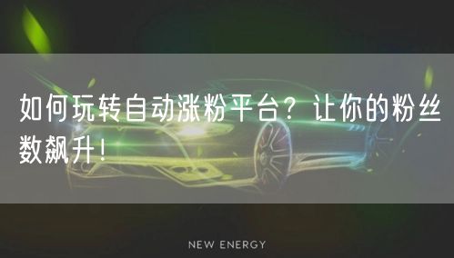 如何玩转自动涨粉平台？让你的粉丝数飙升！