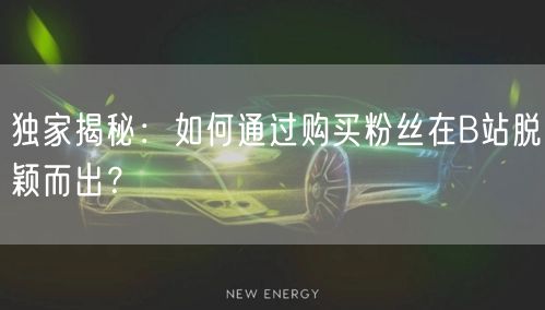 独家揭秘：如何通过购买粉丝在B站脱颖而出