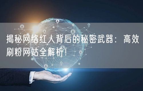 揭秘网络红人背后的秘密武器：高效刷粉网站