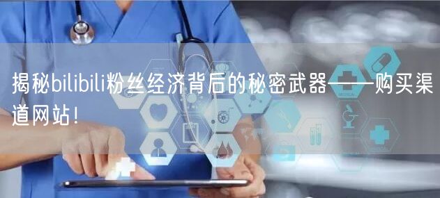 揭秘bilibili粉丝经济背后的秘密武器——购买渠道网站！