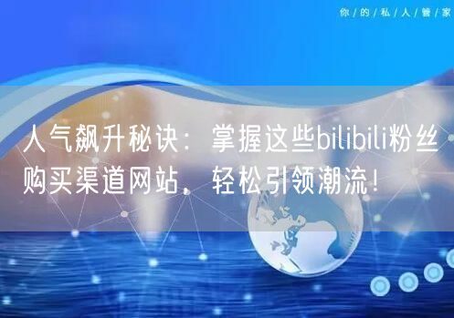 人气飙升秘诀：掌握这些bilibili粉丝购买渠道网站，轻松引领潮流！