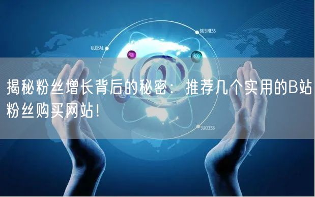 揭秘粉丝增长背后的秘密：推荐几个实用的B站粉丝购买网站！