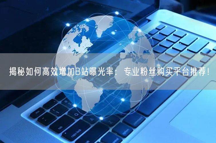 揭秘如何高效增加B站曝光率：专业粉丝购买平台推荐！