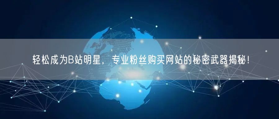 轻松成为B站明星，专业粉丝购买网站的秘密武器揭秘！
