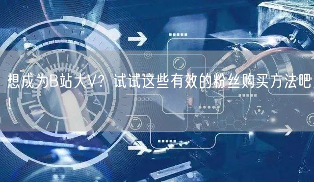 想成为B站大V？试试这些有效的粉丝购买方