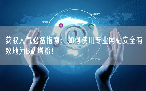 获取人气必备指南：如何使用专业网站安全有