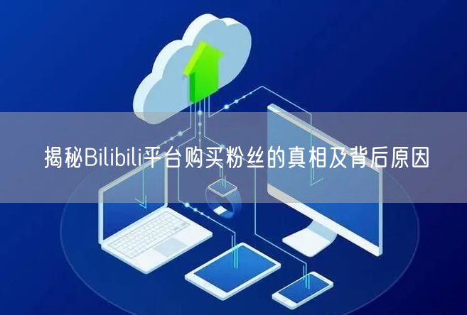 揭秘Bilibili平台购买粉丝的真相及背后原因