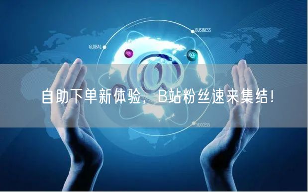 自助下单新体验，B站粉丝速来集结！