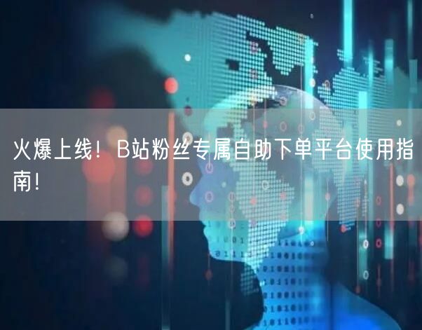 火爆上线！B站粉丝专属自助下单平台使用指南！