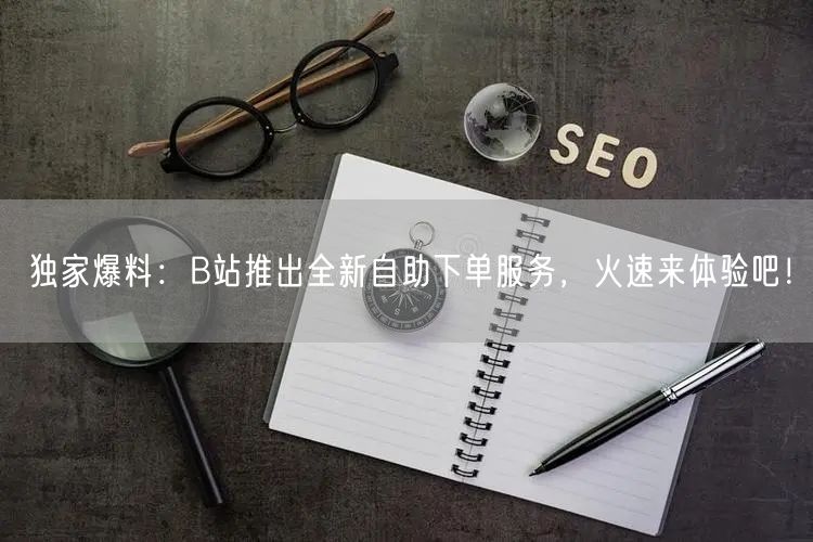 独家爆料：B站推出全新自助下单服务，火速