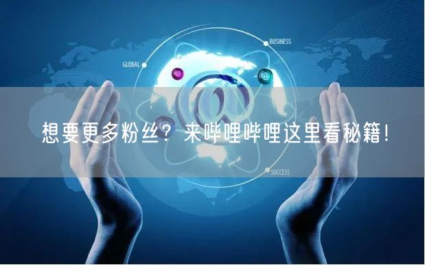 想要更多粉丝？来哔哩哔哩这里看秘籍！