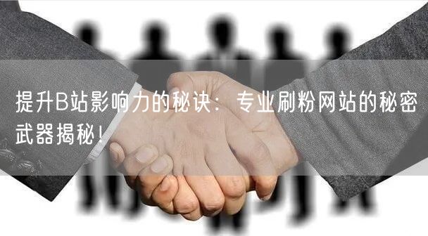 提升B站影响力的秘诀：专业刷粉网站的秘密武器揭秘！