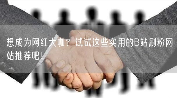 想成为网红大咖？试试这些实用的B站刷粉网站推荐吧！