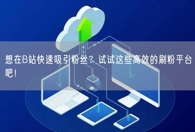 想在B站快速吸引粉丝？试试这些高效的刷粉平台吧！