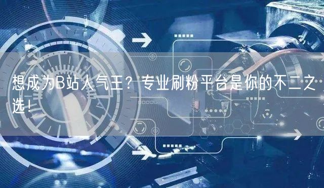 想成为B站人气王？专业刷粉平台是你的不二之选！