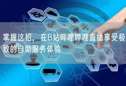 掌握这招，在B站哔哩哔哩直播享受极致的自助服务体验