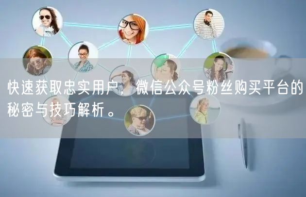 快速获取忠实用户，微信公众号粉丝购买平台的秘密与技巧解析。