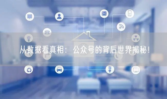 从数据看真相：公众号的背后世界揭秘！